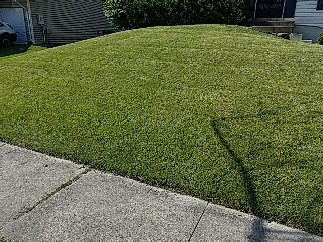 James Lawn Care